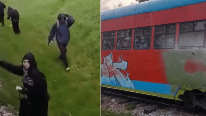 Ataque al Tren de la Sabana en Bogotá: Incidente genera tensión entre pasajeros - Imagen