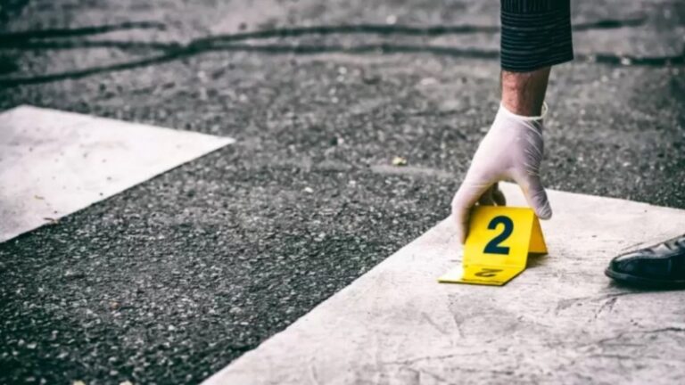 Cae abatido “Junior 30” tras supuesto enfrentamiento con agentes policiales en Villas Agrícolas, DN - Imagen