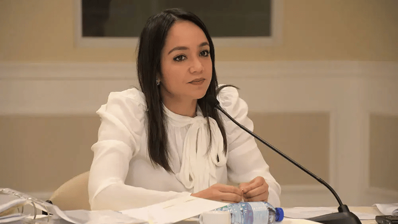 Faride Raful representará a República Dominicana en la firma de iniciativa contra el tráfico ilícito de armas ante la OEA - Imagen