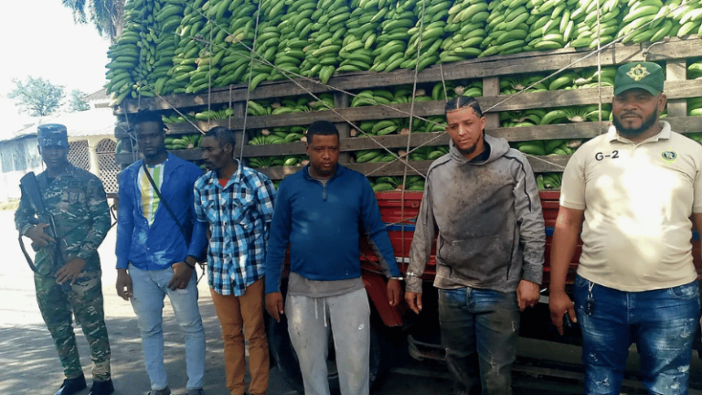 El Ejército de la República Dominicana detiene a dos hombres transportando nacionales haitianos indocumentados - Imagen