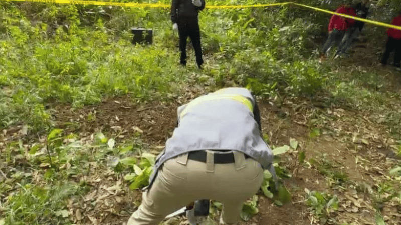 Hallan cadáver mutilado en una finca de San Francisco de Macorís - Imagen