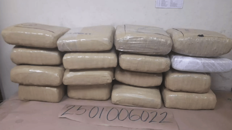Autoridades desmantelan red de tráfico de drogas en el Distrito Nacional - Imagen