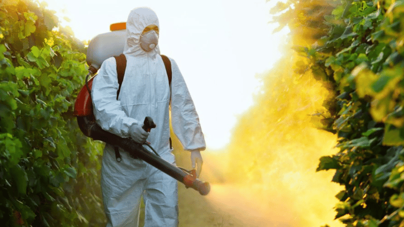 Dos hombres detenidos por fumigación en cercanías de un centro educativo en Cenoví - Imagen