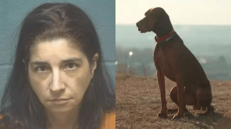 Mujer de Oklahoma arrestada por abuso sexual de un animal y distribución de material obsceno - Imagen