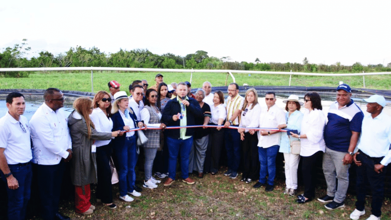 FEDA apoya surgimiento de la acuicultura en La Altagracia: Hecmilio Galván inaugura proyecto de crianza de tilapias en Yuma - Imagen