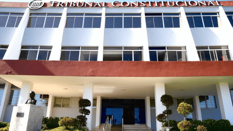 Tribunal Constitucional apoderado de recurso de inconstitucionalidad sobre reelección presidencial - Imagen