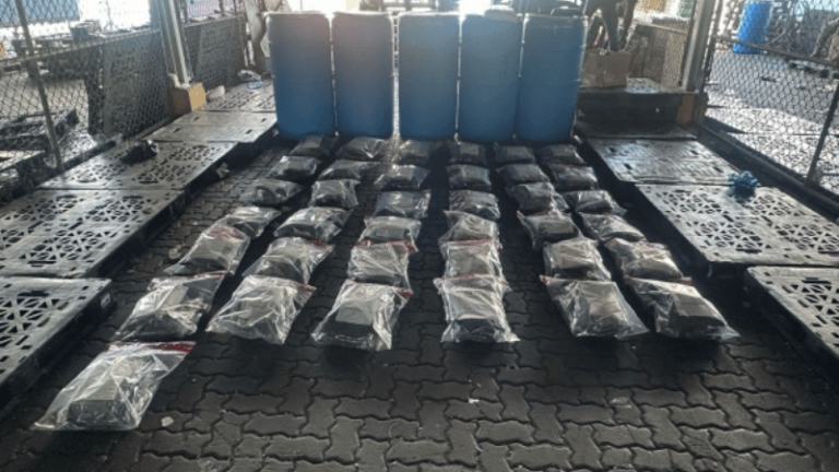 Marihuana traída desde EE.UU.: decomisan 73 paquetes camuflados en tanques de ropa - Imagen