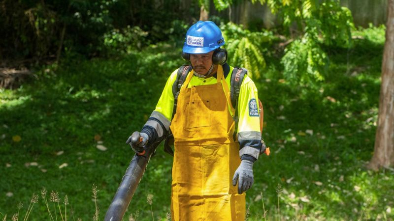 Prevención de áreas verdes ante temporada ciclónica protege infraestructuras - Imagen