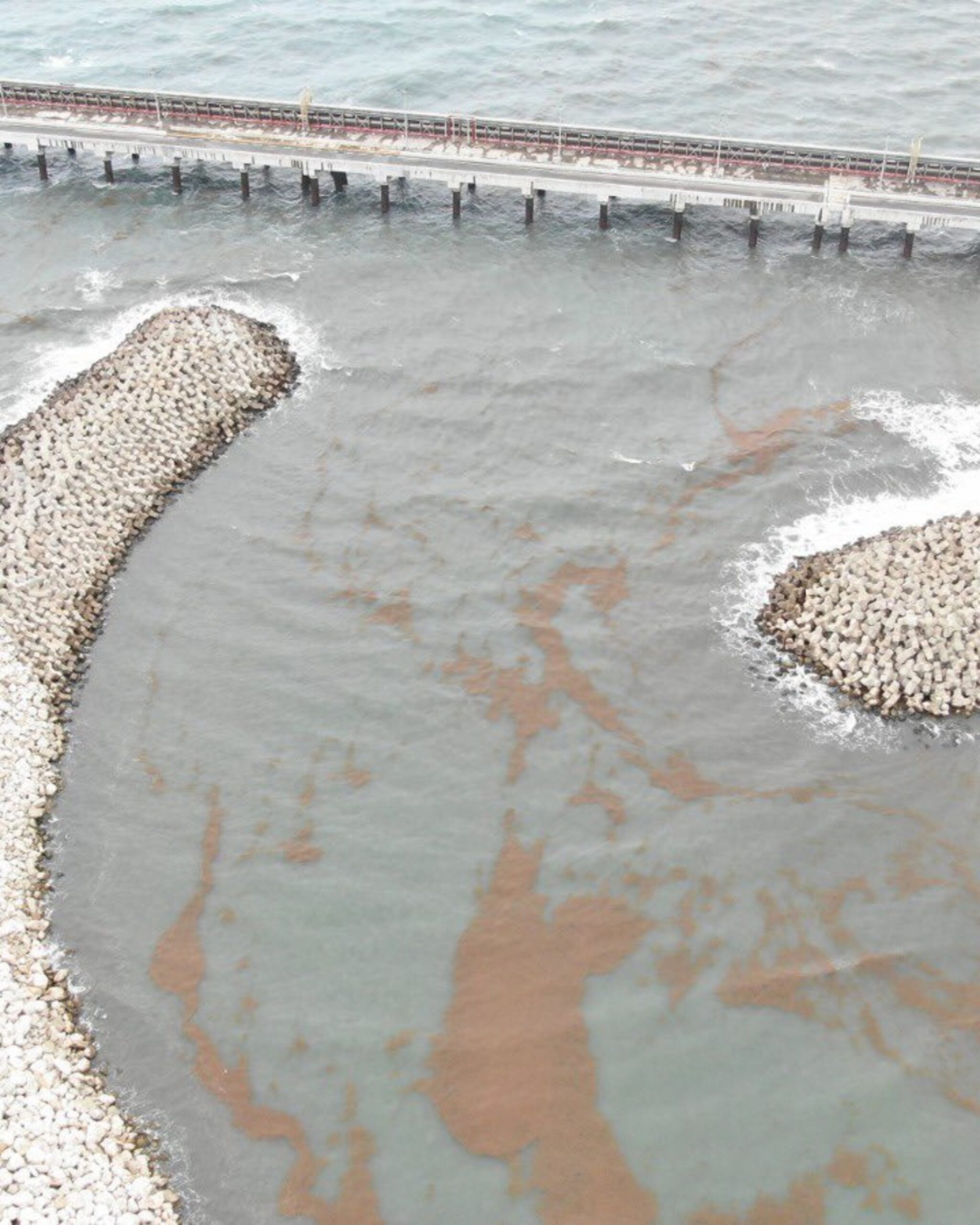 Captura de pantalla 2025-07-31 175330