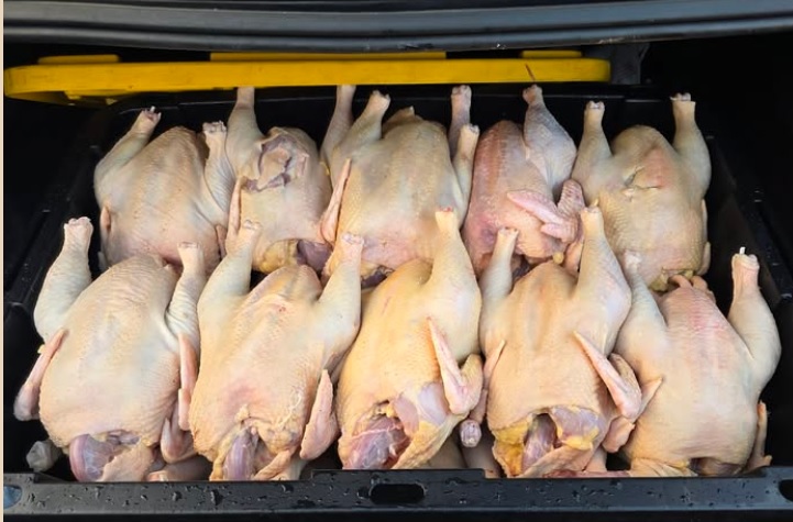 Inespre inicia venta más de un millón libras de pollo a 55 pesos