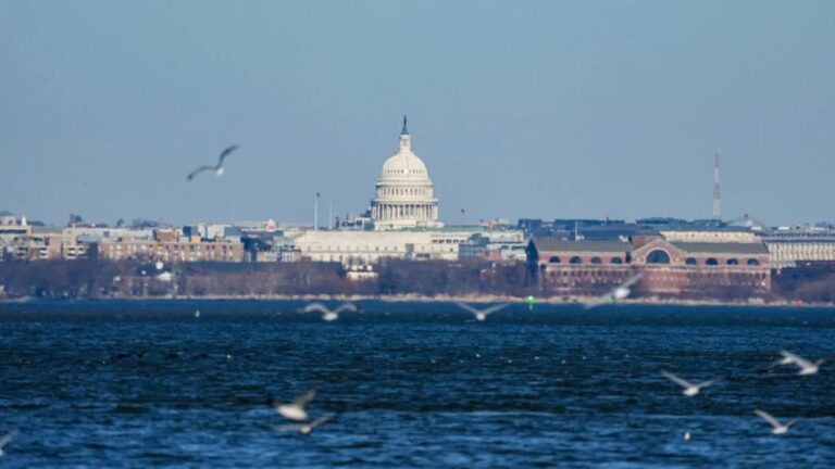 Trump declara la Capital de los EEUU como «zona de desastre»