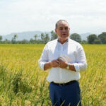 Video confirma postura del ministro de Agricultura sobre polémica por supuesta dispensa al sector arrocero - Imagen