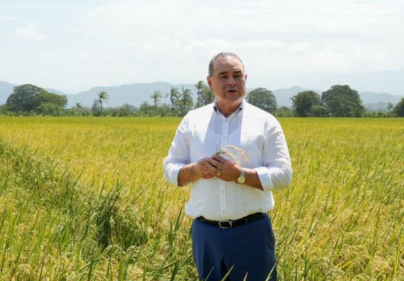 Video confirma postura del ministro de Agricultura sobre polémica por supuesta dispensa al sector arrocero - Imagen